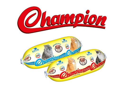 champion_kot